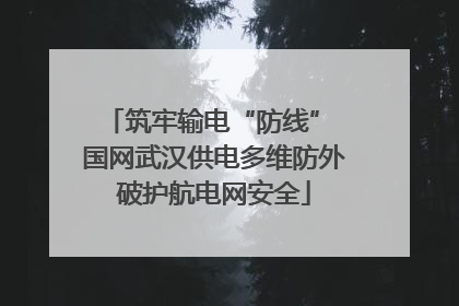 筑牢输电“防线” 国网武汉供电多维防外破护航电网安全