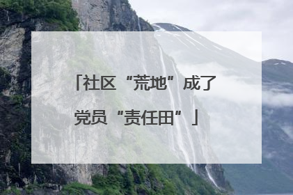 社区“荒地”成了党员“责任田”
