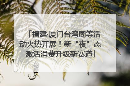 福建·厦门台湾周等活动火热开展！新“夜”态激活消费升级新赛道