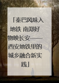 秦巴风味入地铁 南郑好物映长安——西安地铁里的城乡融合新实践