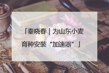 秦晓春|为山东小麦育种安装“加速器”