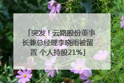 突发！云路股份董事长兼总经理李晓雨被留置 个人持股21%