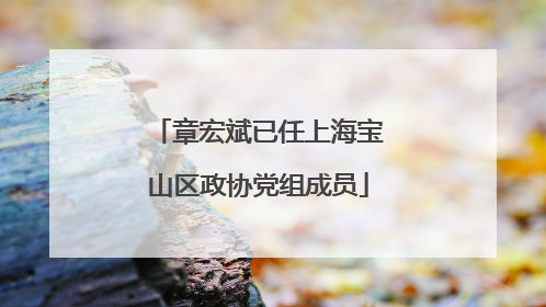 章宏斌已任上海宝山区政协党组成员