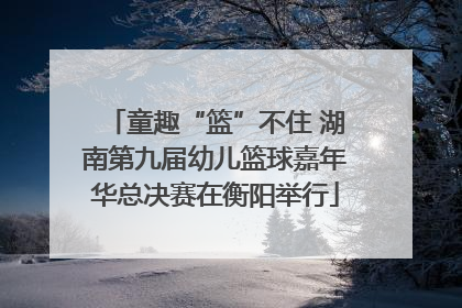 童趣“篮”不住 湖南第九届幼儿篮球嘉年华总决赛在衡阳举行