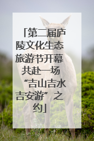 第二届庐陵文化生态旅游节开幕 共赴一场“吉山吉水吉安游”之约