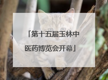 第十五届玉林中医药博览会开幕
