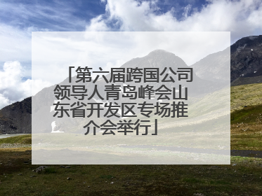 第六届跨国公司领导人青岛峰会山东省开发区专场推介会举行