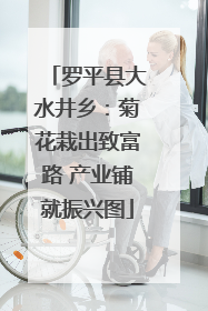 罗平县大水井乡：菊花栽出致富路 产业铺就振兴图