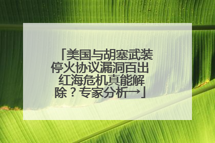 美国与胡塞武装停火协议漏洞百出 红海危机真能解除？专家分析→