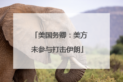 美国务卿：美方未参与打击伊朗