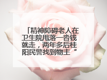 精神障碍老人在卫生院甩落一沓钱就走，两年多后桂阳民警找到物主“完璧归赵”