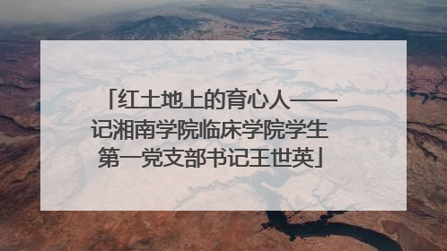 红土地上的育心人——记湘南学院临床学院学生第一党支部书记王世英