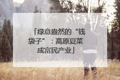 绿意盎然的“钱袋子”：高原夏菜成富民产业