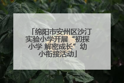 绵阳市安州区沙汀实验小学开展“初探小学 解密成长”幼小衔接活动