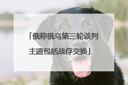 俄称俄乌第三轮谈判主题包括战俘交换