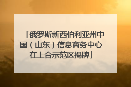 俄罗斯新西伯利亚州中国（山东）信息商务中心在上合示范区揭牌