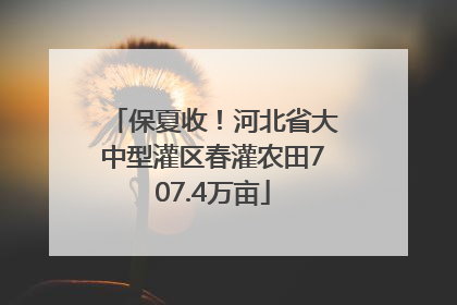 保夏收！河北省大中型灌区春灌农田707.4万亩