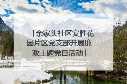 余家头社区安胜花园片区党支部开展廉政主题党日活动