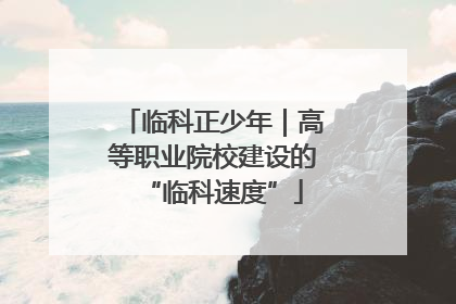 临科正少年｜高等职业院校建设的“临科速度”