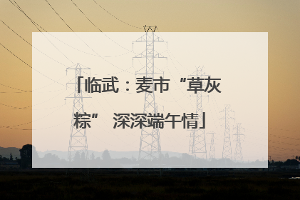 临武：麦市“草灰粽” 深深端午情