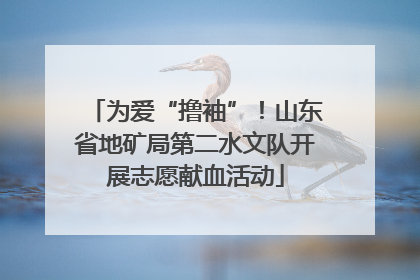 为爱“撸袖”！山东省地矿局第二水文队开展志愿献血活动
