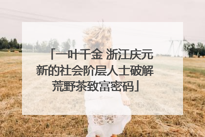 一叶千金 浙江庆元新的社会阶层人士破解荒野茶致富密码