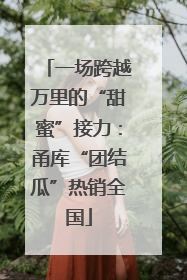 一场跨越万里的“甜蜜”接力：甬库“团结瓜”热销全国