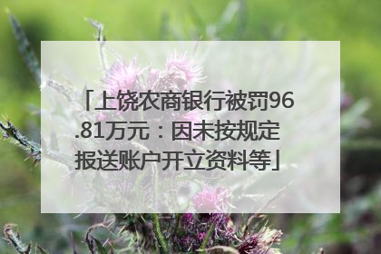 上饶农商银行被罚96.81万元：因未按规定报送账户开立资料等