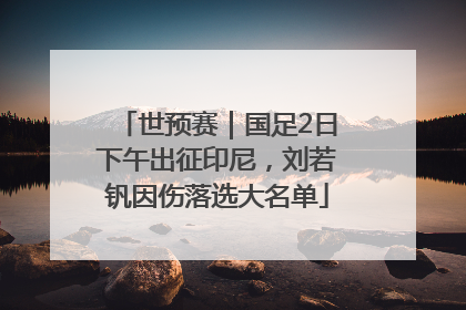 世预赛｜国足2日下午出征印尼，刘若钒因伤落选大名单