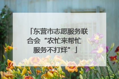 东营市志愿服务联合会“农忙来帮忙 服务不打烊”