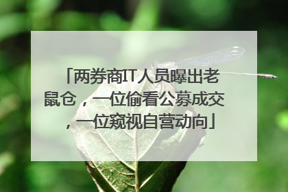 两券商IT人员曝出老鼠仓，一位偷看公募成交，一位窥视自营动向