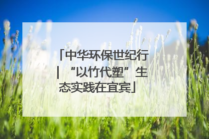 中华环保世纪行｜“以竹代塑”生态实践在宜宾
