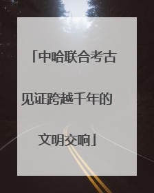 中哈联合考古见证跨越千年的文明交响