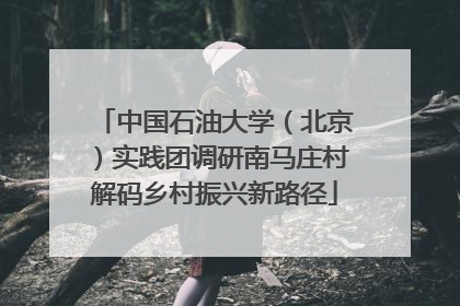 中国石油大学（北京）实践团调研南马庄村解码乡村振兴新路径