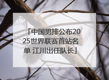 中国男排公布2025世界联赛首站名单 江川出任队长