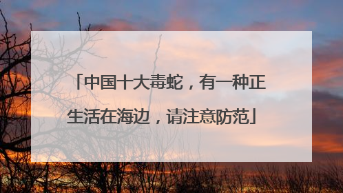 中国十大毒蛇，有一种正生活在海边，请注意防范