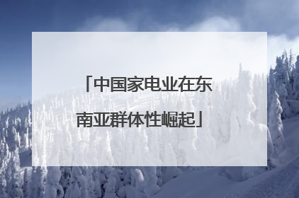 中国家电业在东南亚群体性崛起