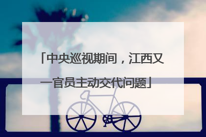 中央巡视期间，江西又一官员主动交代问题