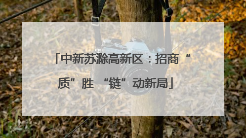 中新苏滁高新区：招商“质”胜 “链”动新局