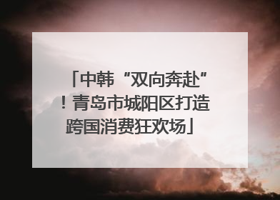 中韩“双向奔赴”！青岛市城阳区打造跨国消费狂欢场