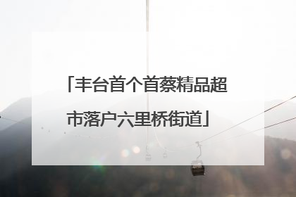 丰台首个首蔡精品超市落户六里桥街道