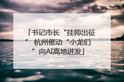 书记市长“挂帅出征” 杭州催动“小龙们”向AI高地进发