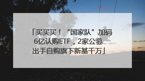 买买买！“国家队”加码6亿认购ETF，2家公募出手自购旗下新基千万