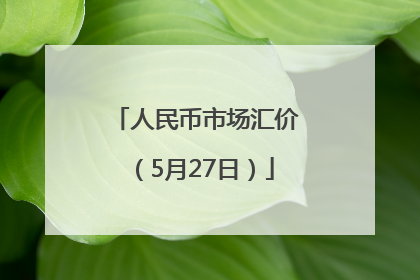 人民币市场汇价（5月27日）