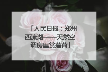 人民日报：郑州西流湖——天然空调房里赏莲荷