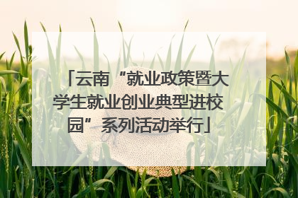云南“就业政策暨大学生就业创业典型进校园”系列活动举行