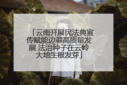 云南开展民法典宣传赋能边疆高质量发展 法治种子在云岭大地生根发芽