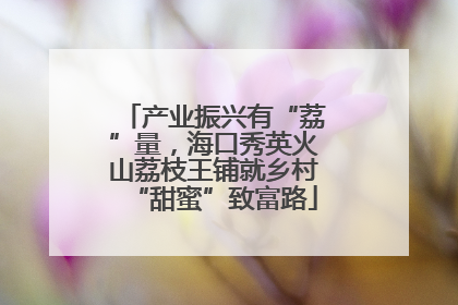 产业振兴有“荔”量，海口秀英火山荔枝王铺就乡村“甜蜜”致富路