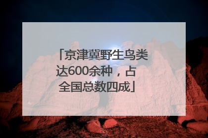 京津冀野生鸟类达600余种，占全国总数四成