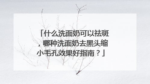什么洗面奶可以祛斑，哪种洗面奶去黑头缩小毛孔效果好指南？